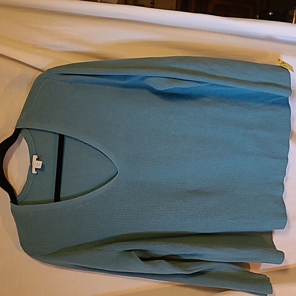 J Jill V neck Sweater